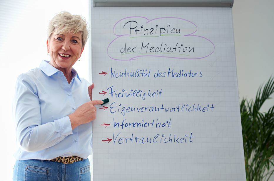 Future Solutions Purchasing GmbH & Co.KG - Mediation & Konfliktmanagement Future Solutions Purchasing GmbH & Co.KG